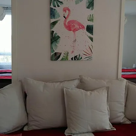 Bodensee Fewo 1 Daire *